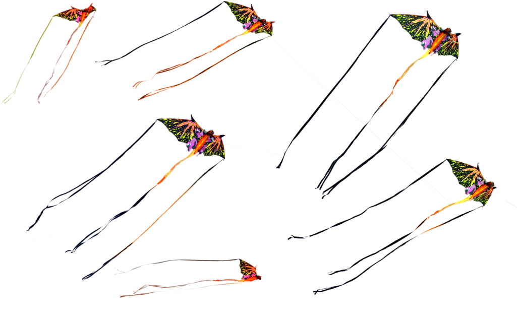 Dragon Stock Photos Png By Annamae On - Ym (1024x678), Png Download