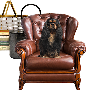 Leather Chair - Fridge Magnet P Calm And Love Your King Ch (342x369), Png Download