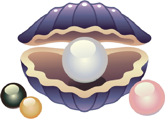 Coquillages - Cute Shell (594x448), Png Download