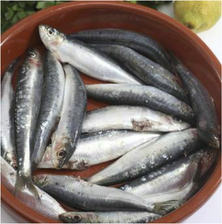 Picture - Fish Is Good For Heart (455x458), Png Download