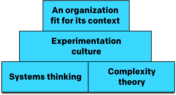 Complexity Theory Divides The World Into Four Domains - Organization (606x334), Png Download
