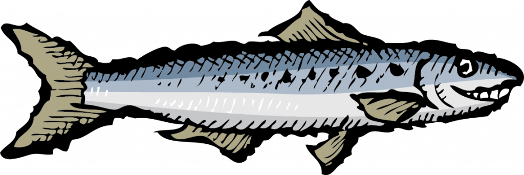 Ortiz Sardines And Mackerel From Spain - Smiling Sardine (1024x342), Png Download