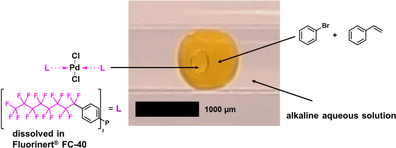 Micro Multiple Emulsions Offer The Possibility For - Organic Chemistry (785x314), Png Download