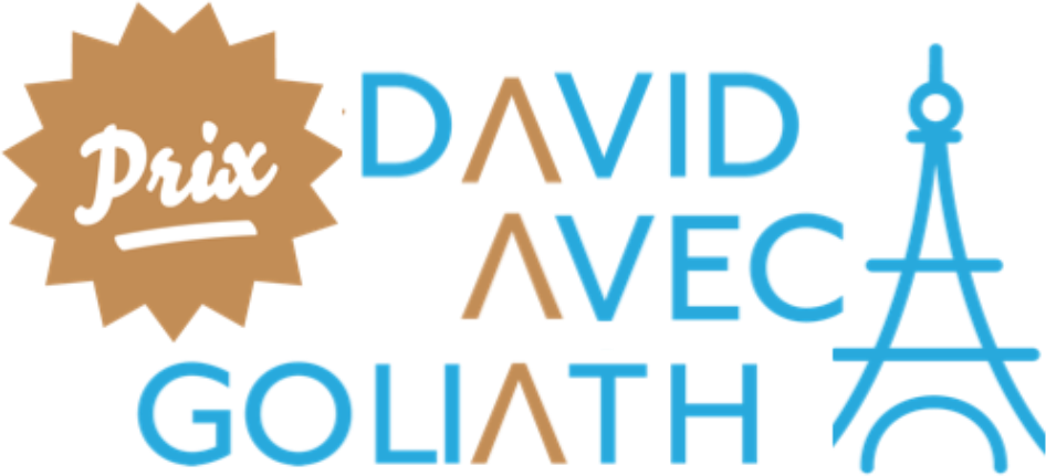 Logo Prix Dag - Prix David Avec Goliath (946x431), Png Download