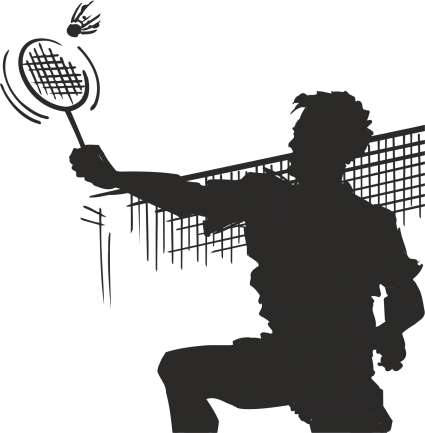 Badminton - Paddle Tennis (425x433), Png Download
