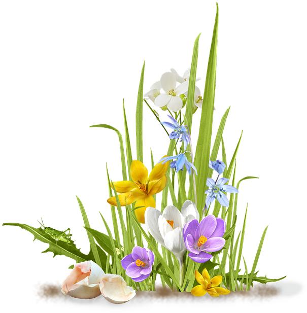Spring, Flower, Crocus, Saffron, Grass, Shell, Egg - Grass And Flowers Png (622x640), Png Download