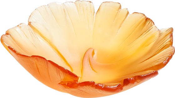 Ginkgo Small Bowl (1000x1000), Png Download