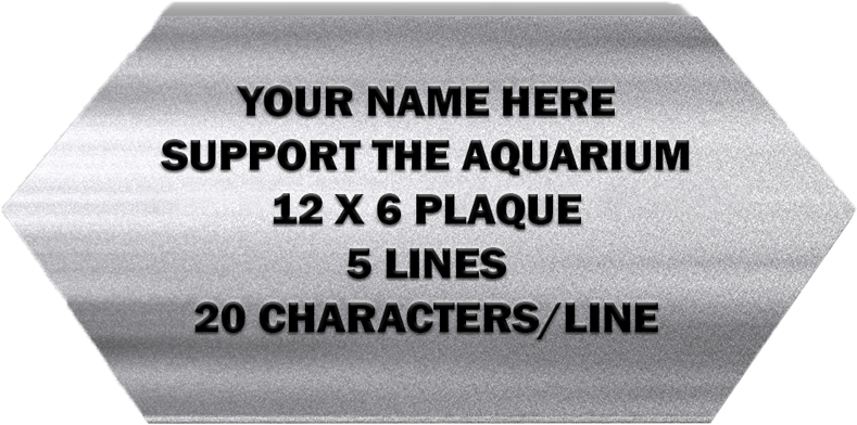 Commemorative Plaque (800x600), Png Download