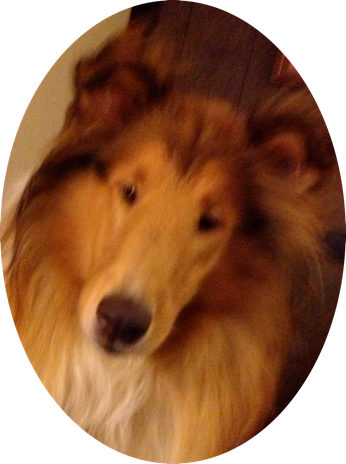 David And Goliath - Bread (346x464), Png Download