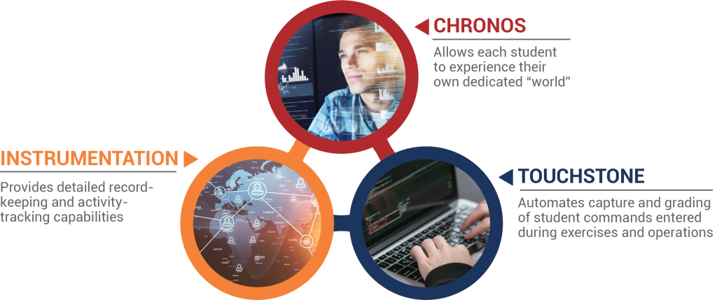 Ginkgo - Maidenhair Tree (1024x429), Png Download