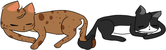 Sapphire'fall And Sorrow'bird Flaming Otaku - Cat Grabs Treat (640x480), Png Download