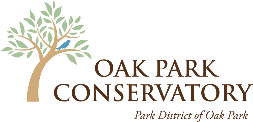 Conservatory Logo - Oak Park Conservatory (998x481), Png Download