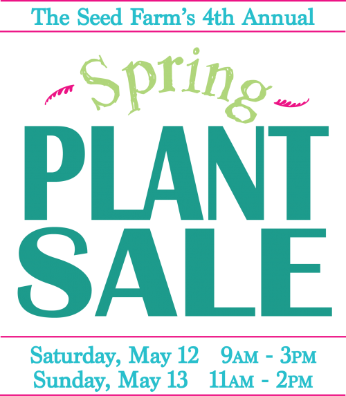 Plant Sale - Le Creuset Singapore Family Sale (500x573), Png Download