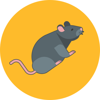 Circle-rat - Icon Enabling Growth (350x350), Png Download