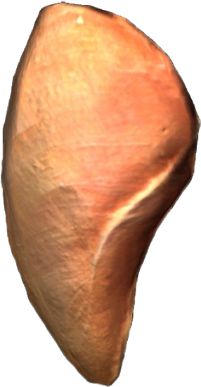 Raw Chicken Breast - Rotten Chicken Dayz (325x600), Png Download