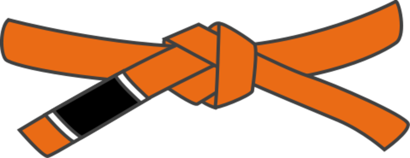 Jiu Jitsu Orange Belt (800x309), Png Download