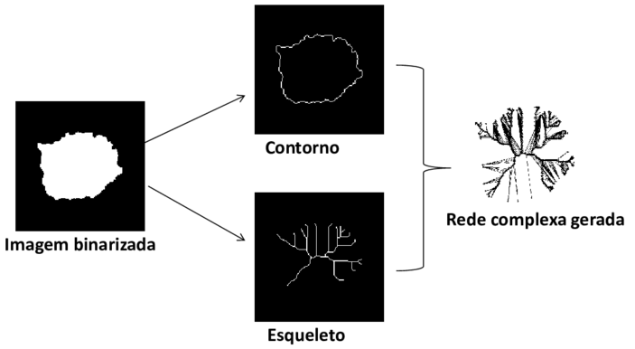 Rede Complexa Livre De Escala - Circle (850x416), Png Download