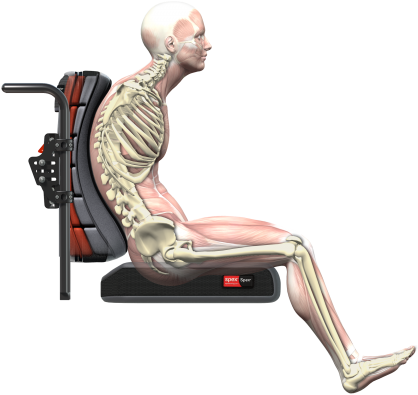 The Pelvis Is The Key To Maintain Correct Posture As - Wheelchair (480x480), Png Download