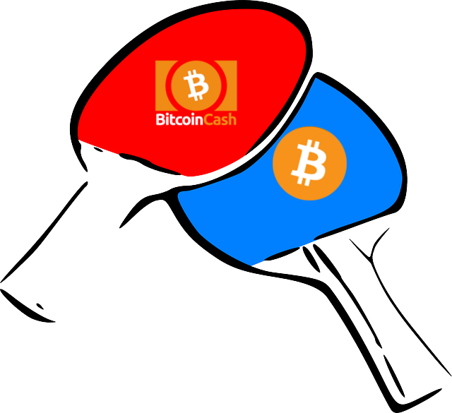 Btc-bcc Ping Pong - Bitcoin - Buy A Bit (640x585), Png Download