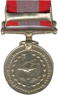 Special Seva Medal - India Special Service Medal (468x319), Png Download