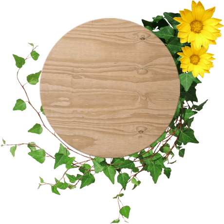 Você Na Praia Do Lázaro - Sunflower (460x461), Png Download