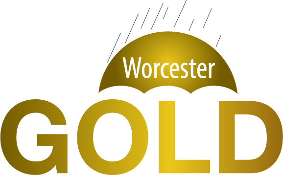 Worcester County Md Family Financial Support - Worcester County Gold (578x364), Png Download