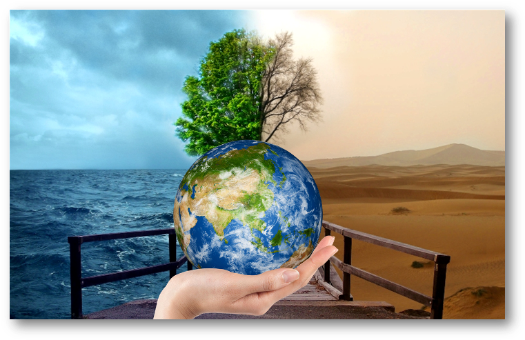 Pelo Planeta Terra - Half Desert Half Ocean (768x499), Png Download
