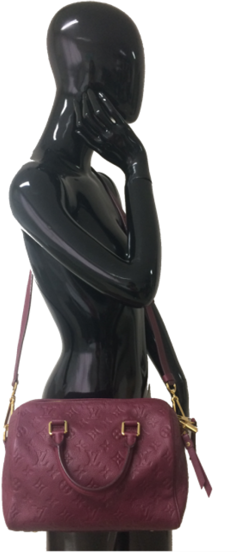 Louis Vuitton Speedy Raisin (1100x1100), Png Download