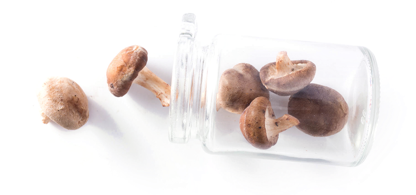 Contact Us - Penny Bun (1920x670), Png Download