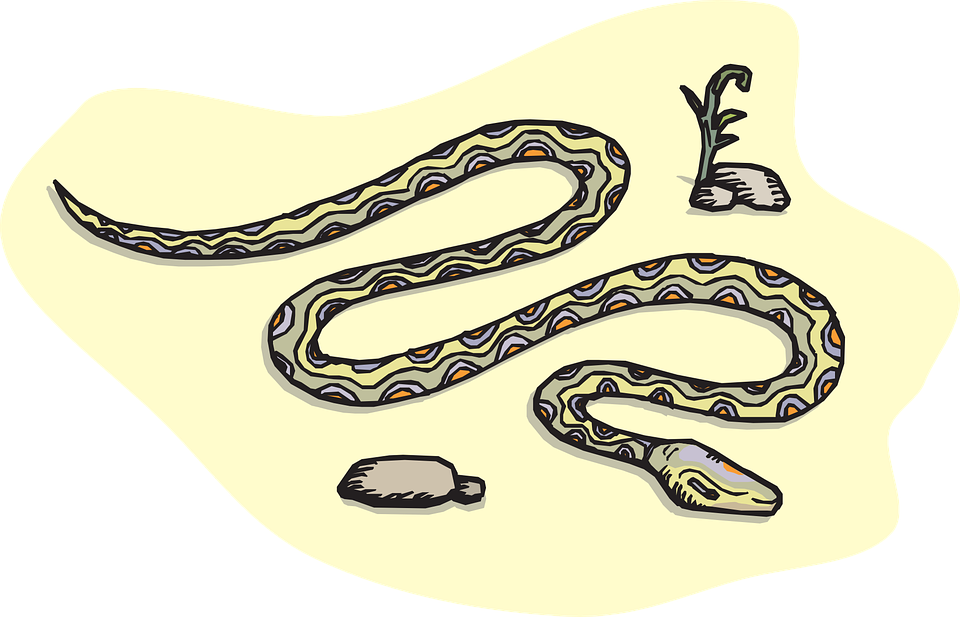 Free Vector Graphic - Desert Snakes Clipart (960x617), Png Download