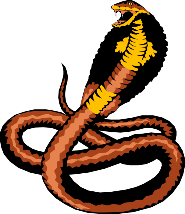 Vector Illustration Of Reptile Cobra Snake Ready To - Cobra (607x700), Png Download