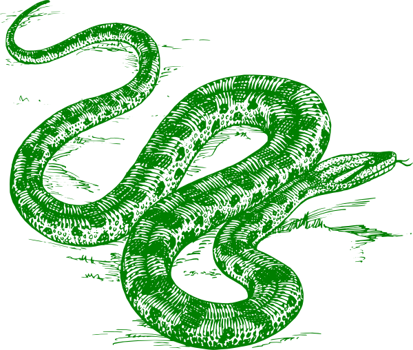 Green Anaconda Clip Art At Clker - Cafepress Anaconda Snake Queen Duvet (600x508), Png Download