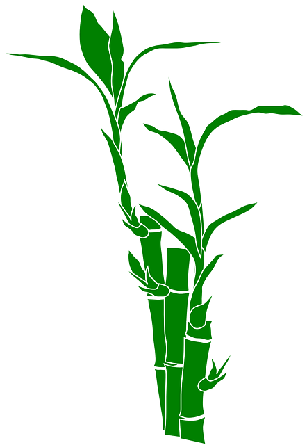 Bambu Vector Png - Bamboo Tree Animated (442x640), Png Download