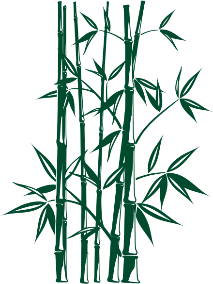 Vinilo Decorativo Bambu - Bambu En La Pared (570x600), Png Download