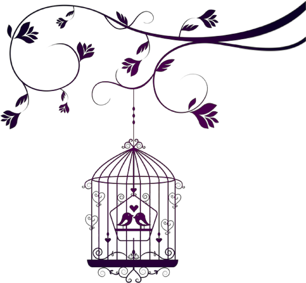 Birds Aves Pájaros Pajaros Rama Branch Jaula Cage Amor - Luke And Lilly Love Is Here Wall Sticker(pvc Vinyl,100cm (1024x1024), Png Download