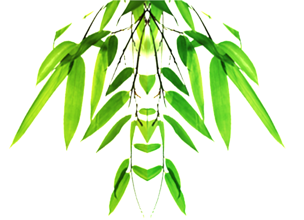 Bambu De Bambu, Png De Alta Definição - Mindful Assessment: The 6 Essential Fluencies Of Innovative (1024x1024), Png Download