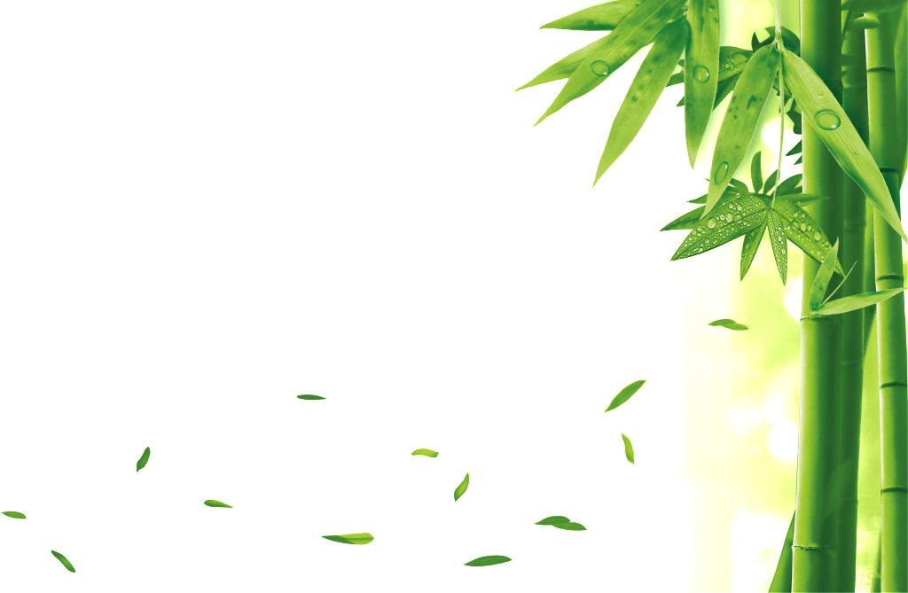 Bambu Creativos Mano Pintura Transparente Png Decorativo - Pure Natural Bamboo Charcoal Face Body Cleansing Soap (1024x669), Png Download