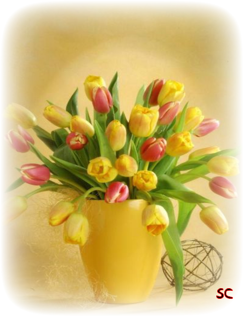 03/17/2018 17 - 29 - - Bouquet (510x644), Png Download