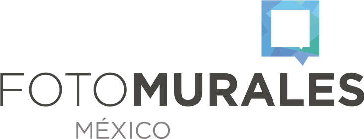 Fotomurales Decorativos Personalizados Con Envío En - Ymca Greater Boston Logo (800x327), Png Download