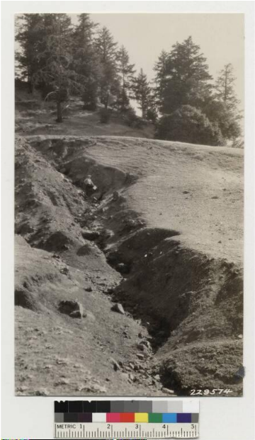 Erosion On Cleared And Heavily Sheeped Southerly Slope - Dirt Road (800x700), Png Download