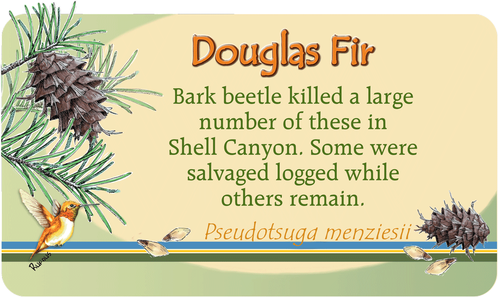 Image Of Plant Id Panel - Robert Pattinson Details Magazine (1080x645), Png Download