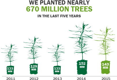 The Vast Majority Of Our Log Sales Are On A Delivered - Houseplant (425x301), Png Download