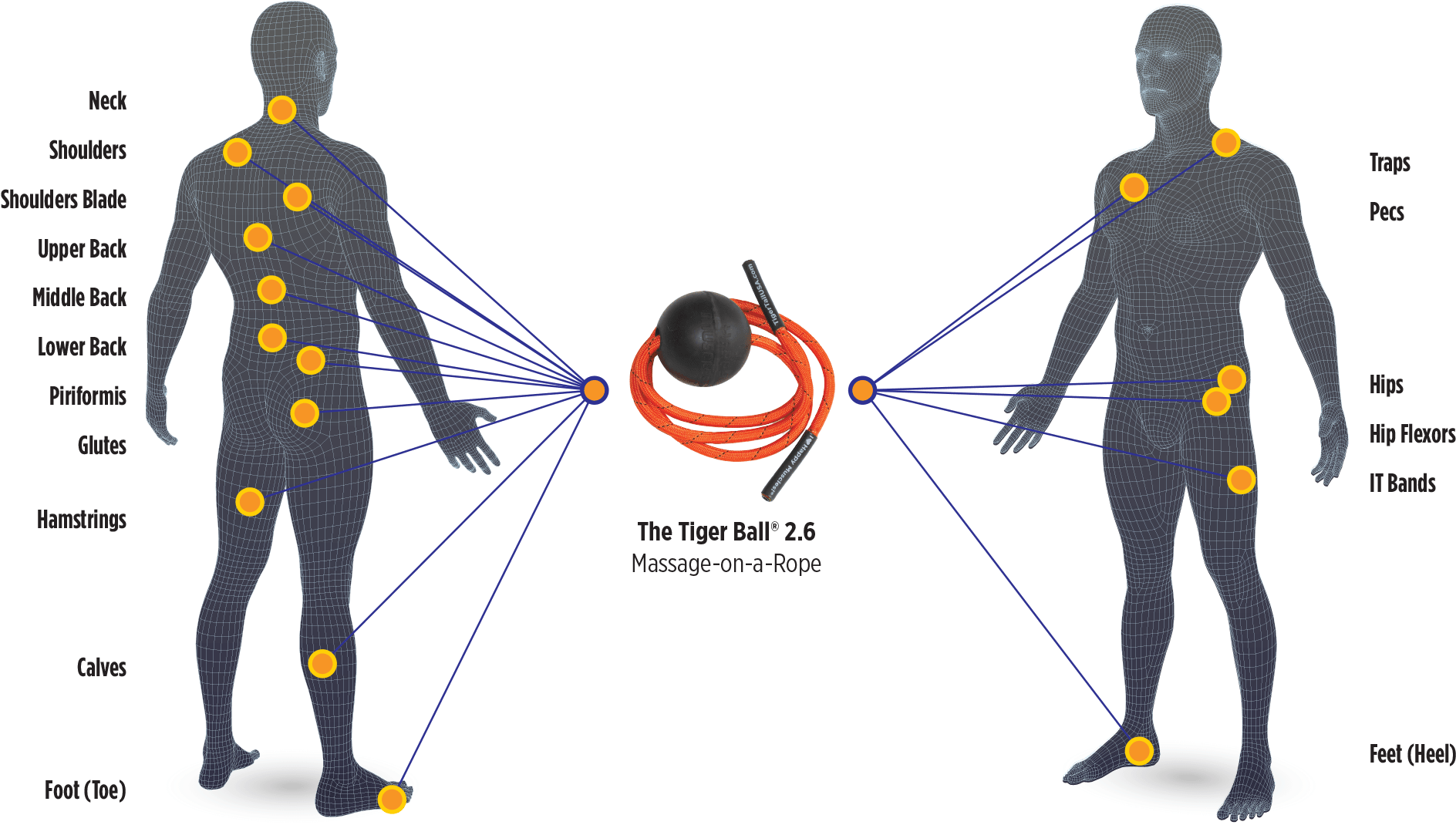 Work Best For Self-massaging On Hard To Reach Muscles - Tiger Tail Tiger Ball - Massage On A Rope (1920x1073), Png Download