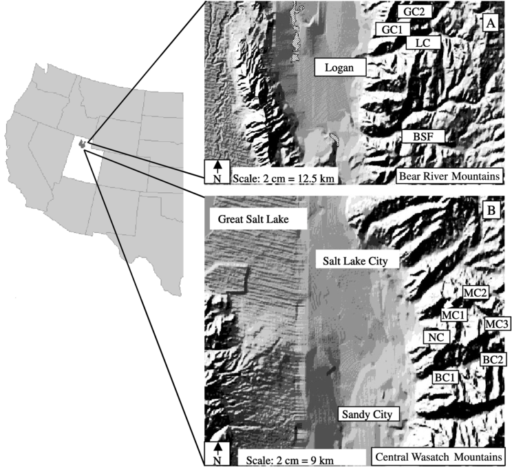 Douglas-fir Coring Sites In The Green (gc), Logan (lc), - Monochrome (850x677), Png Download