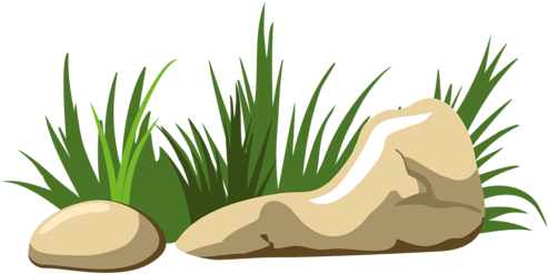 Grass Clipart Png (500x279), Png Download