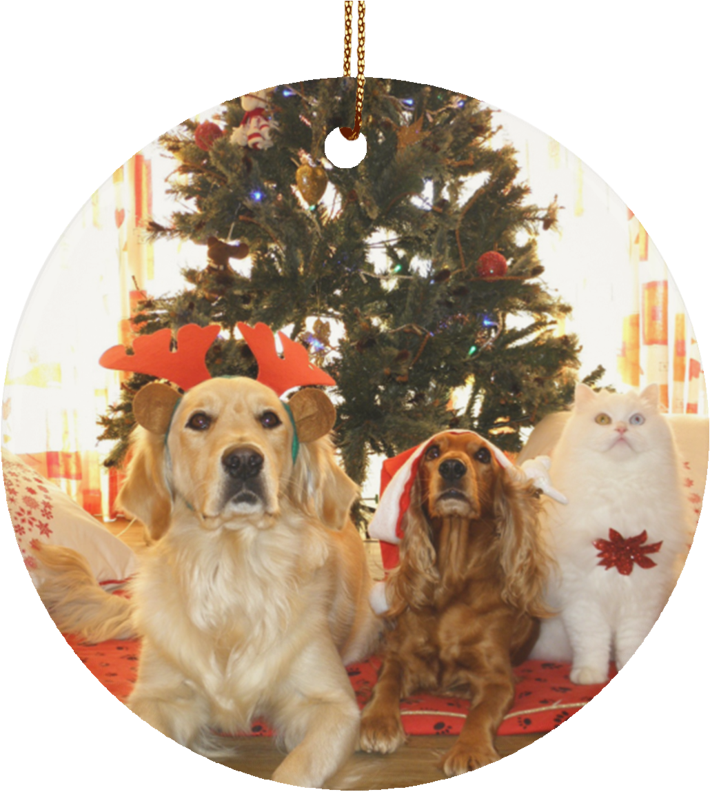 Pet Christmas Tree Ornament Cat Gift Crafted Holiday - Pet Safety On Holiday (1155x1155), Png Download