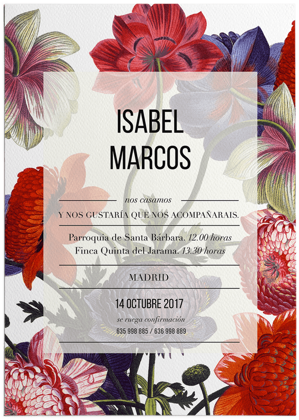 Inicio - Malva (800x1033), Png Download