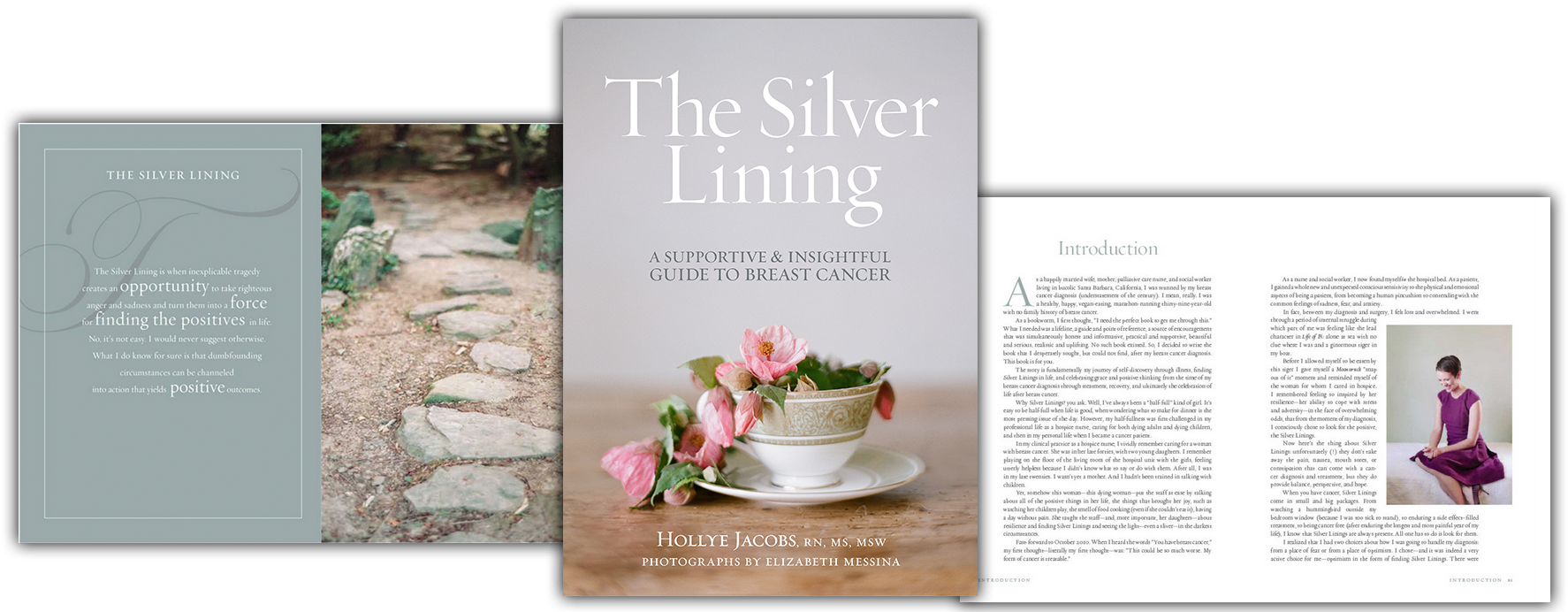 We're Sorry, We Are Out Of Books And No Longer Accepting - Silver Lining By Hollye Jacobs & Elizabeth Messina (1998x691), Png Download