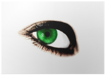 Dollar Sign (400x400), Png Download