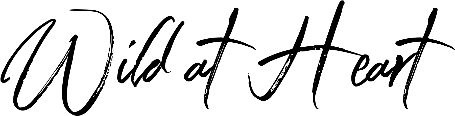 Photography (1899x627), Png Download